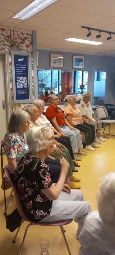 Foto 3 van 5 bij het verslag van Stoeldansen voor fysiek beperkten