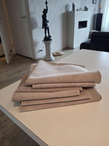 Foto 4 van 12 bij het verslag van Beeldhouwen