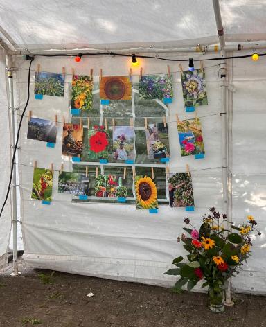 De genomineerde foto's van de fotowedstrijd
