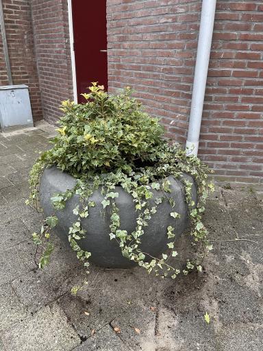 De plantenbak is weer gevuld.