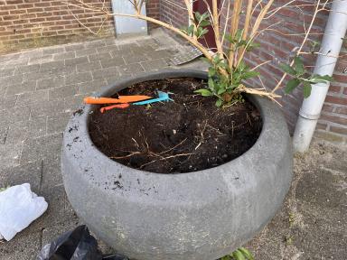 Het leeghalen van de bak.