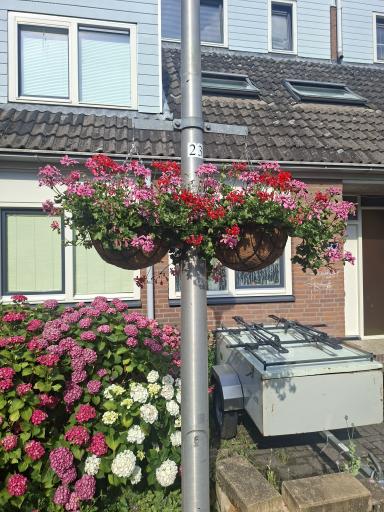 Foto 1 van 5 bij het verslag van Bloembakken Hilde erf