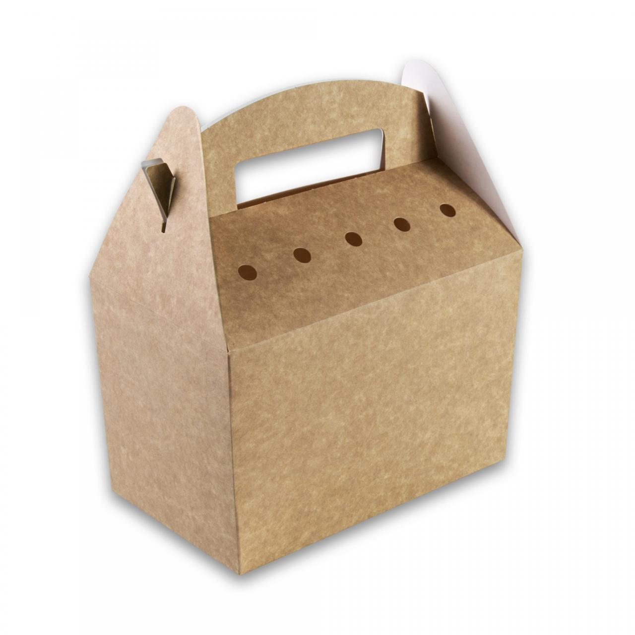 Kraft-karton-Snackbox-met-handvat-192x112x132-kidsbox-2.jpg